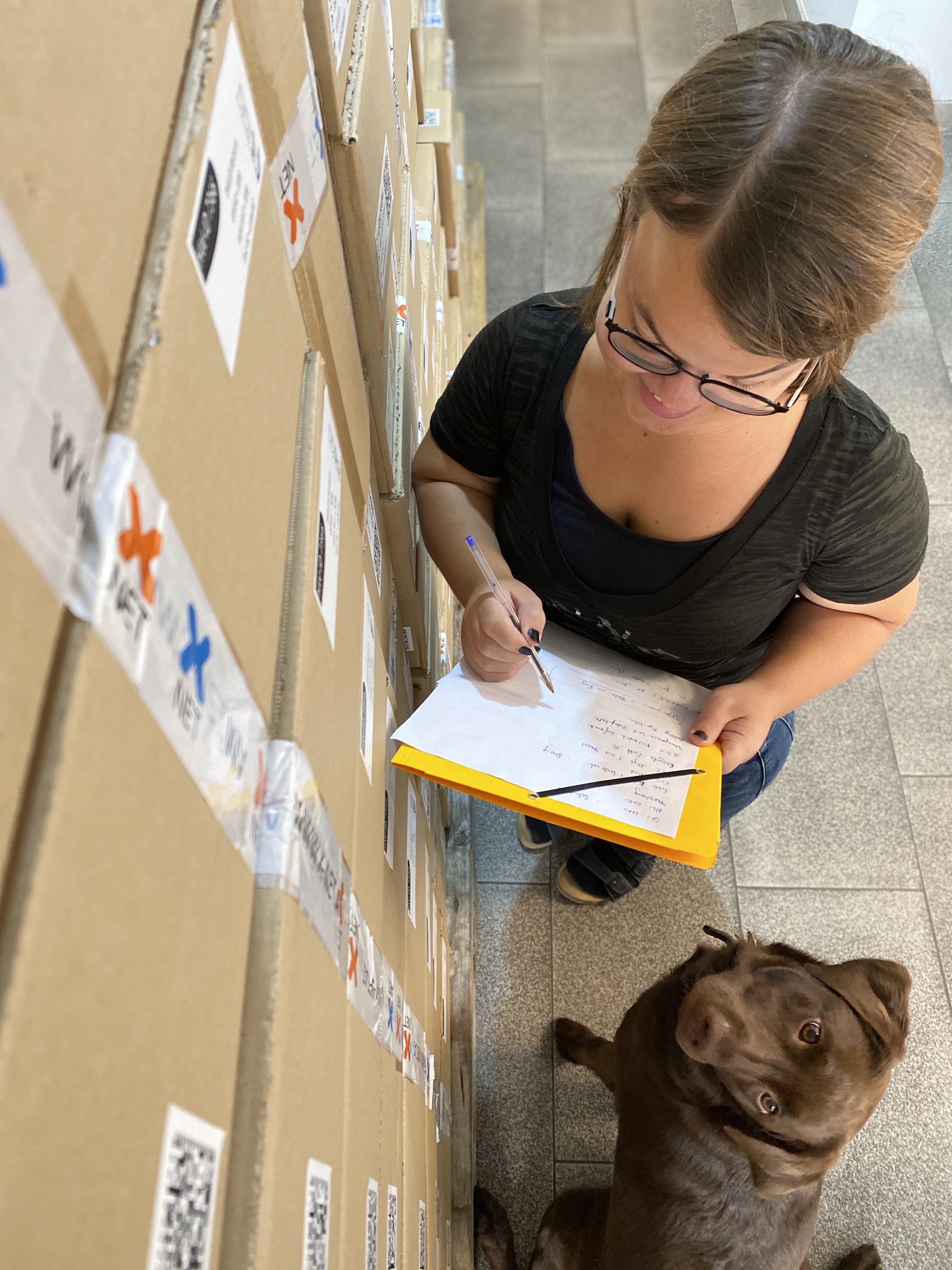 X-Net Hunde
